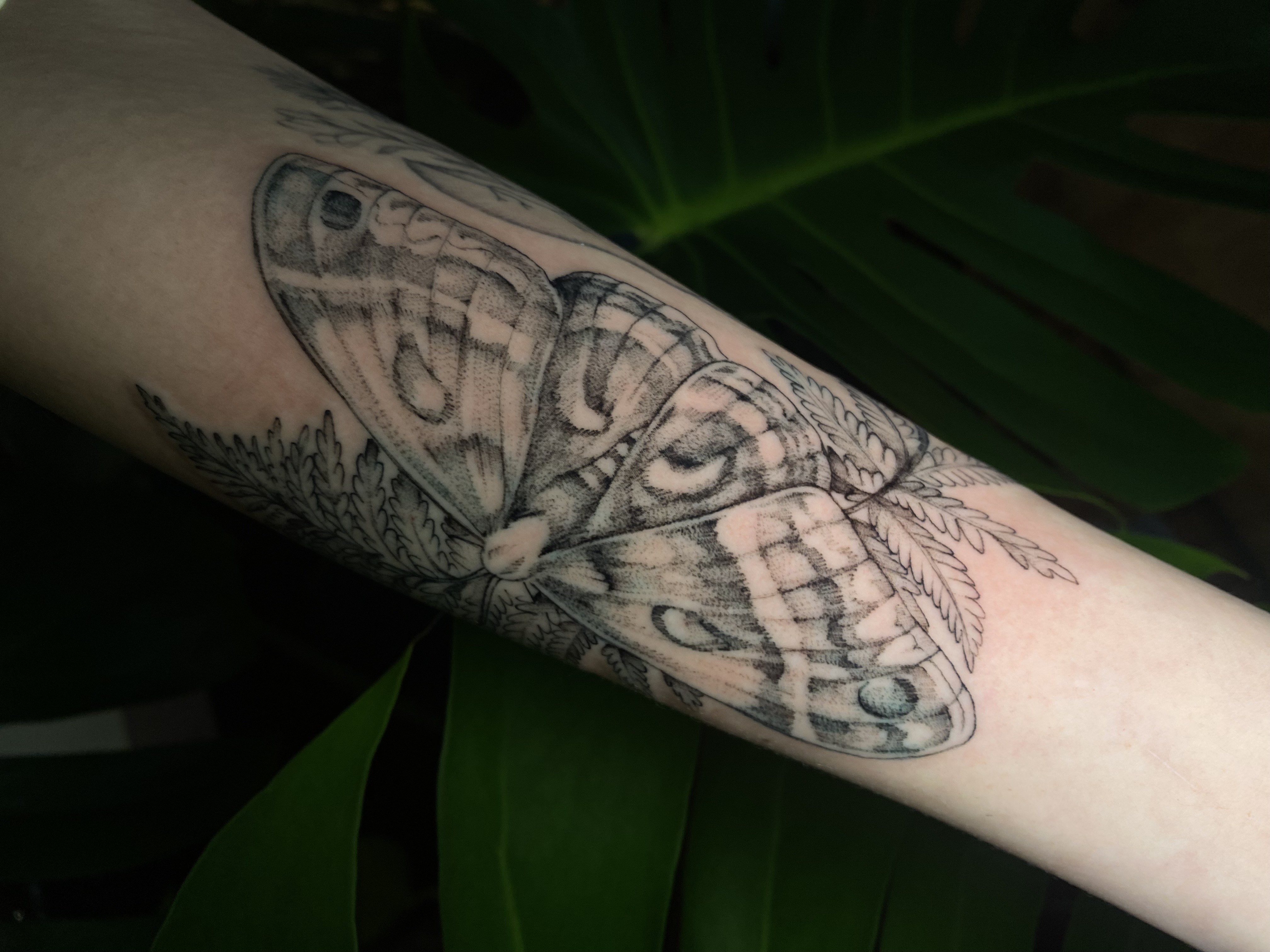 Tattoo image