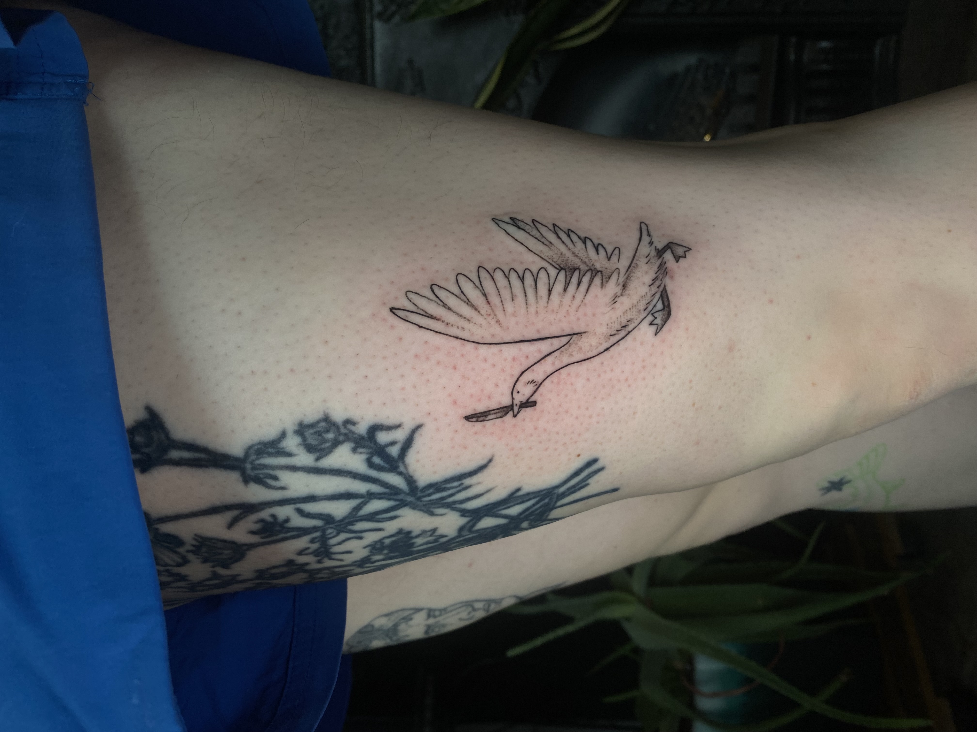 Tattoo image