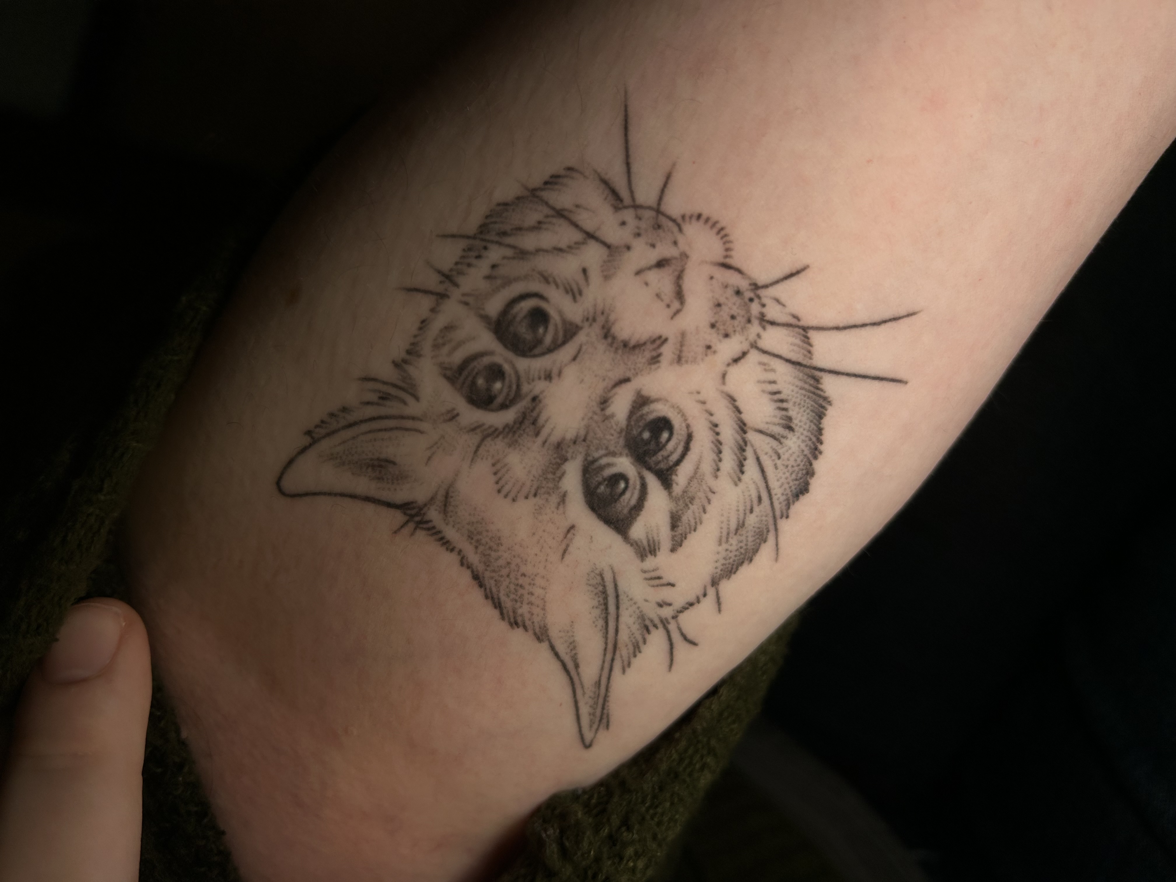 Tattoo image
