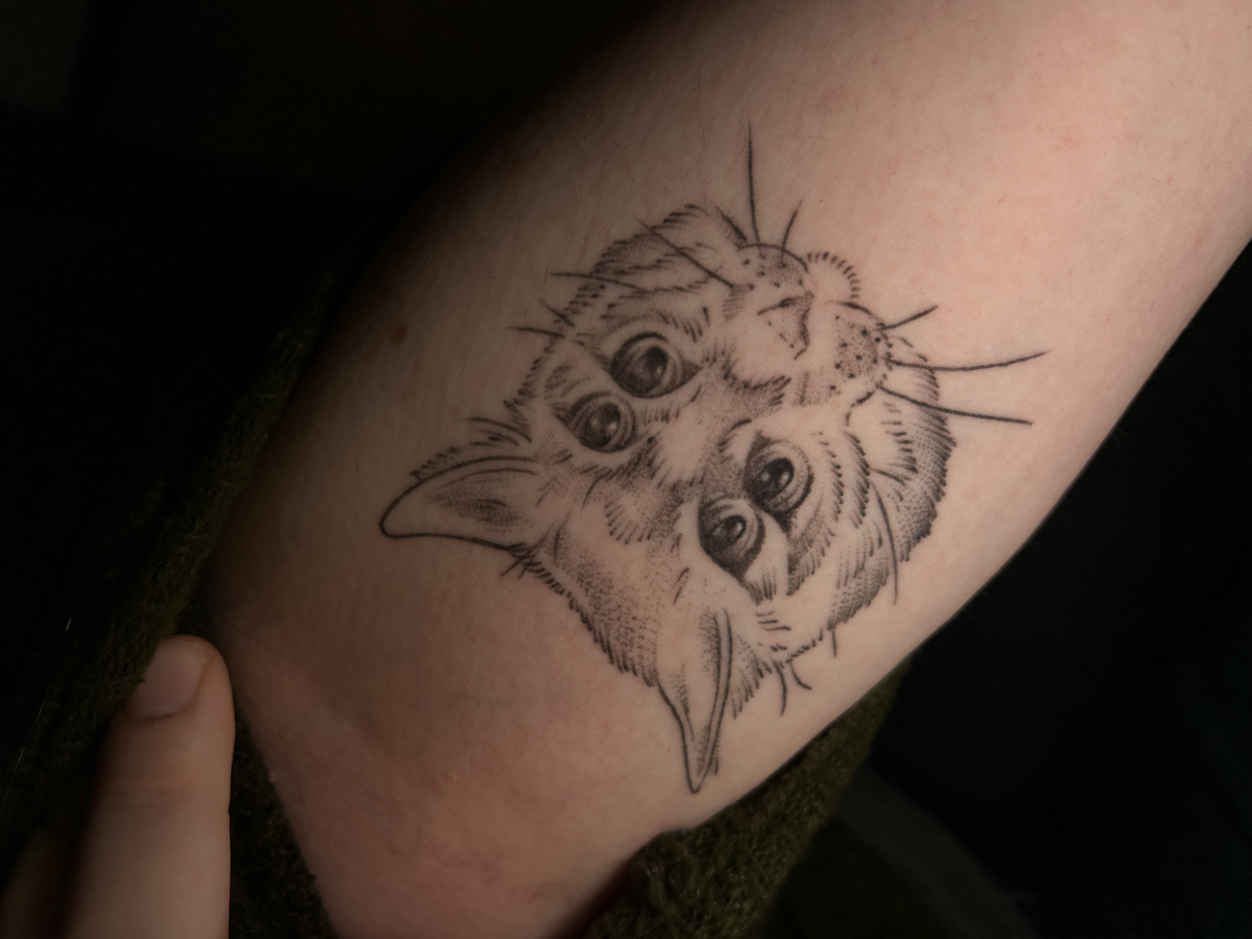 Tattoo image
