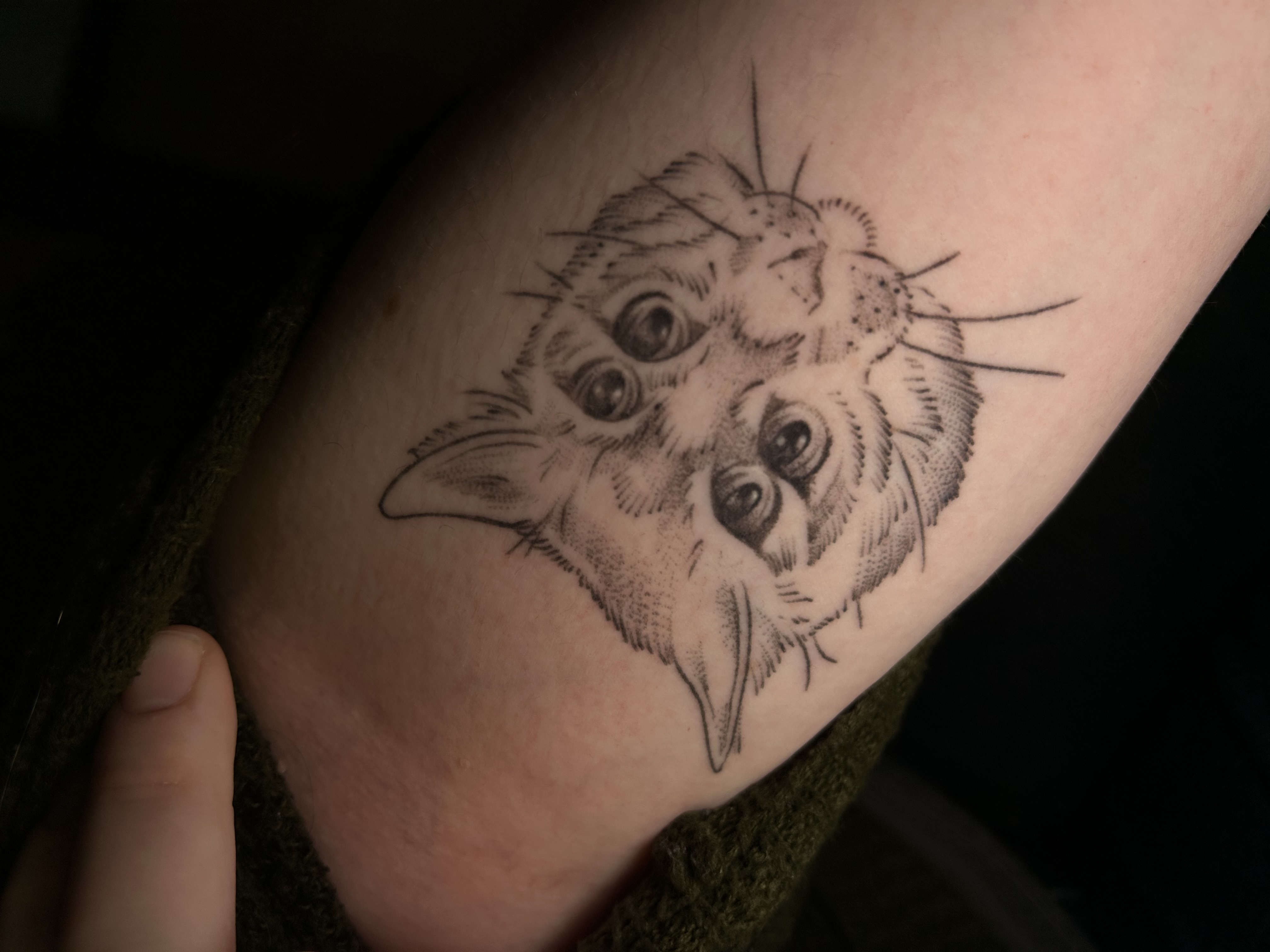 Tattoo image