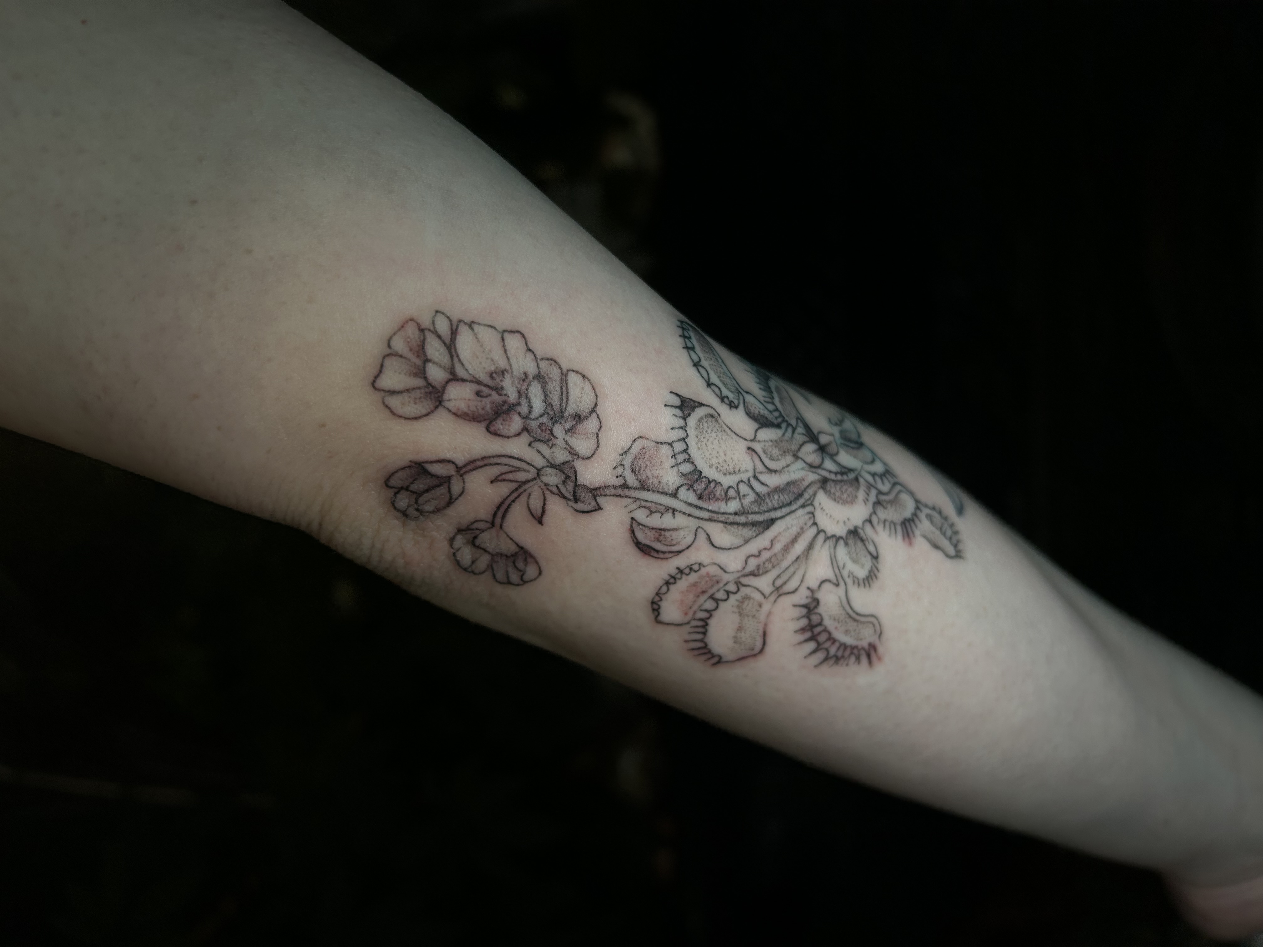 Tattoo image
