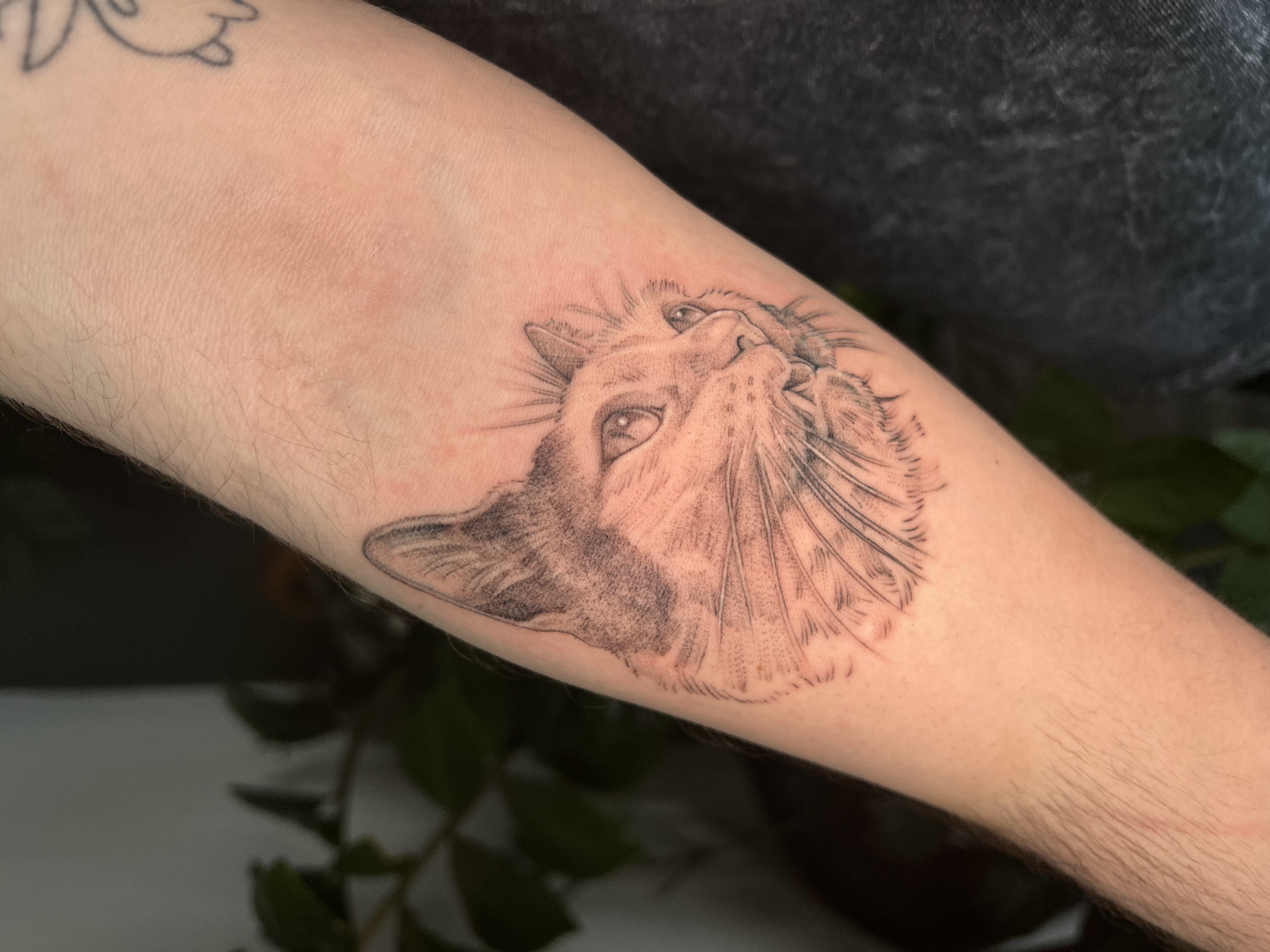 Tattoo image