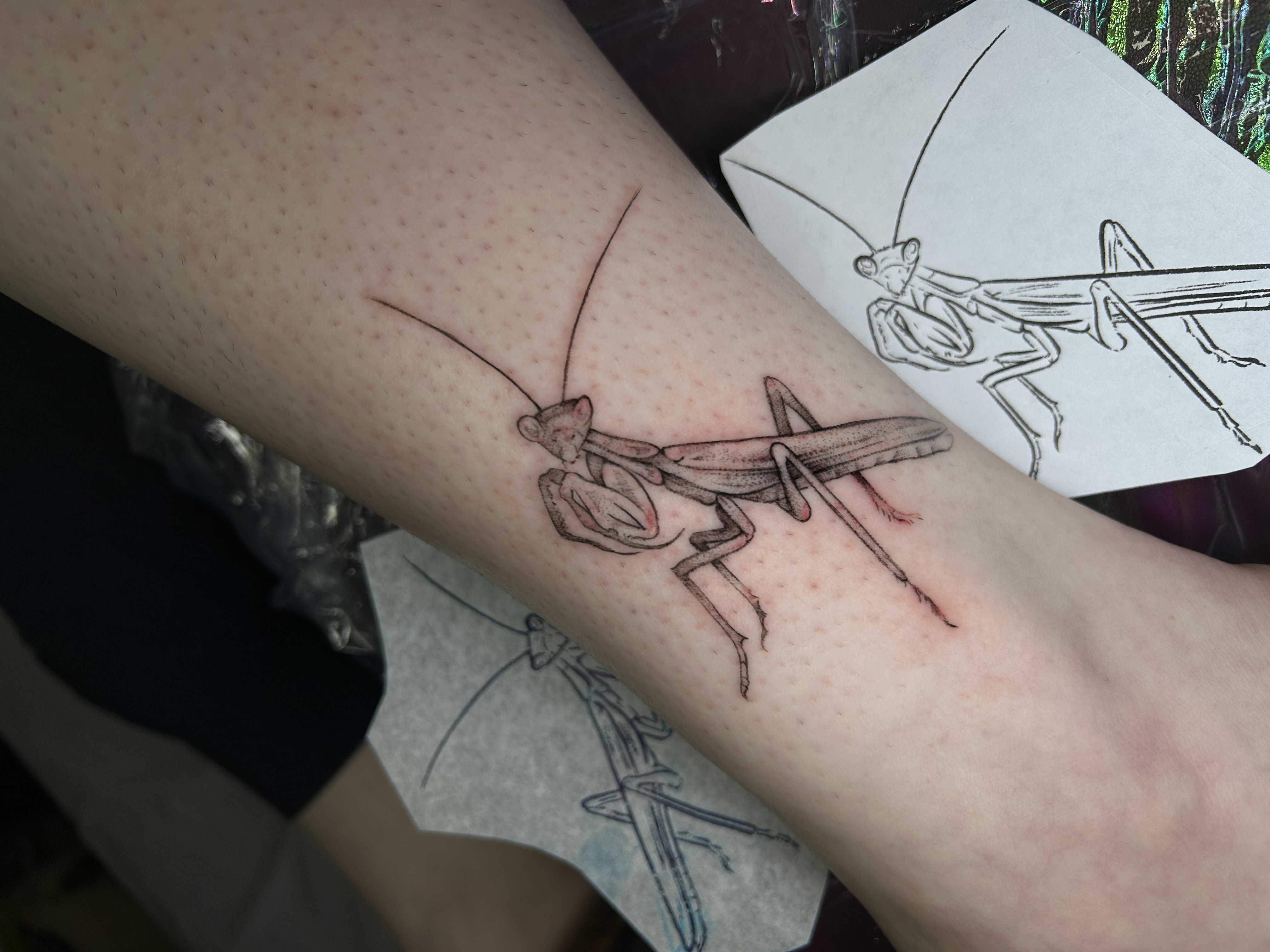 Tattoo image