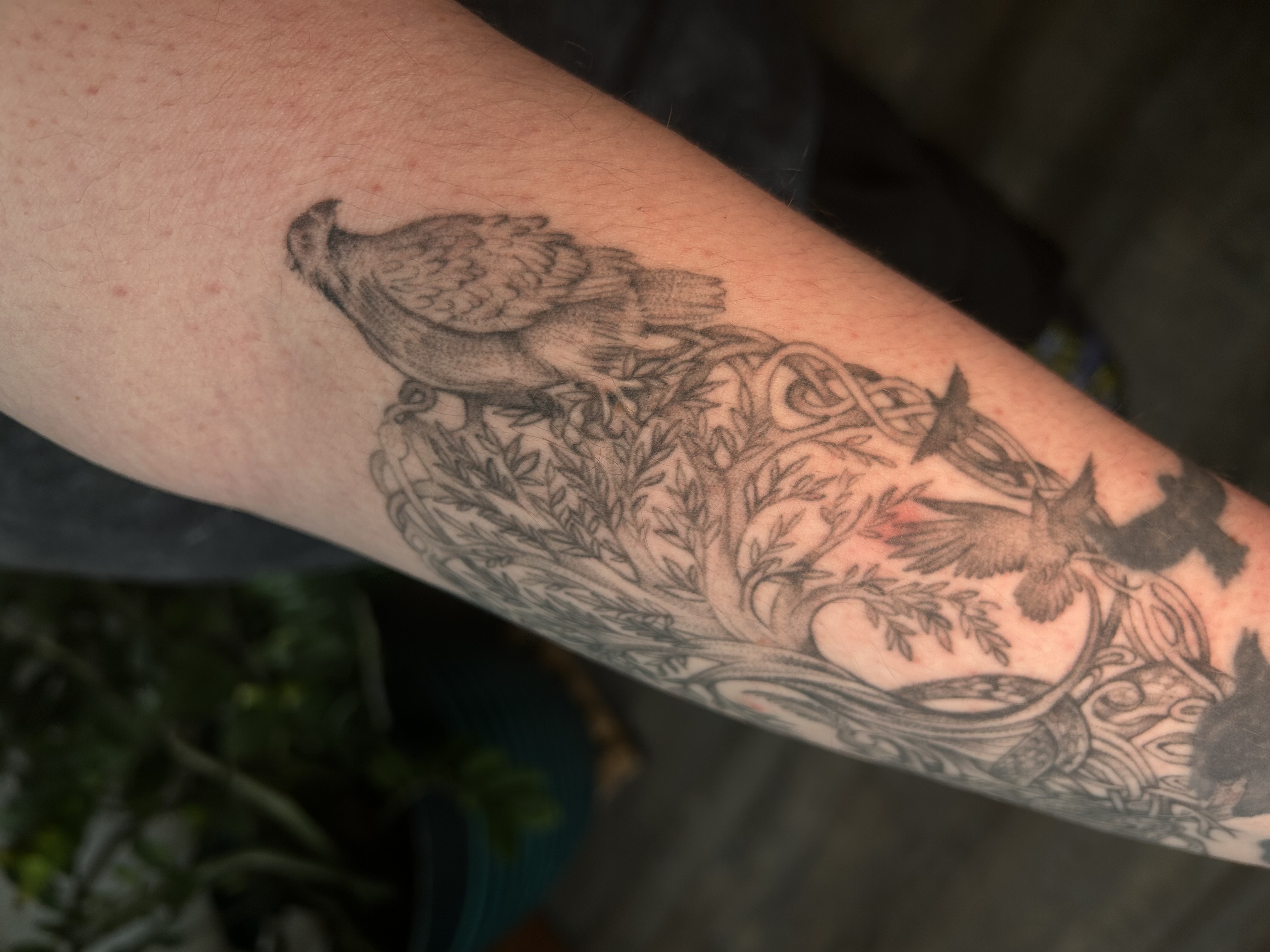 Tattoo image